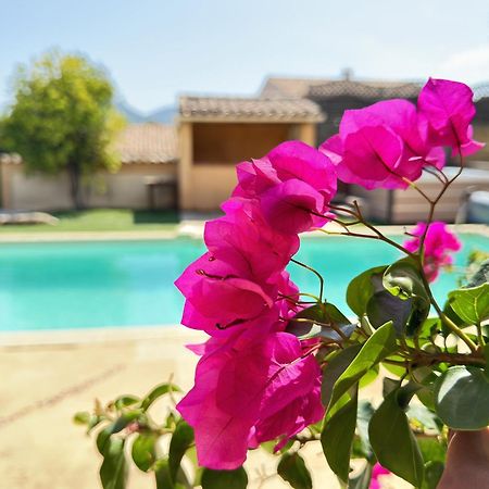 2 Hebergements - 10 Couchages - Parking, Piscine, Jacuzzi - Convivialite Roquebrune-sur-Argens Exterior foto