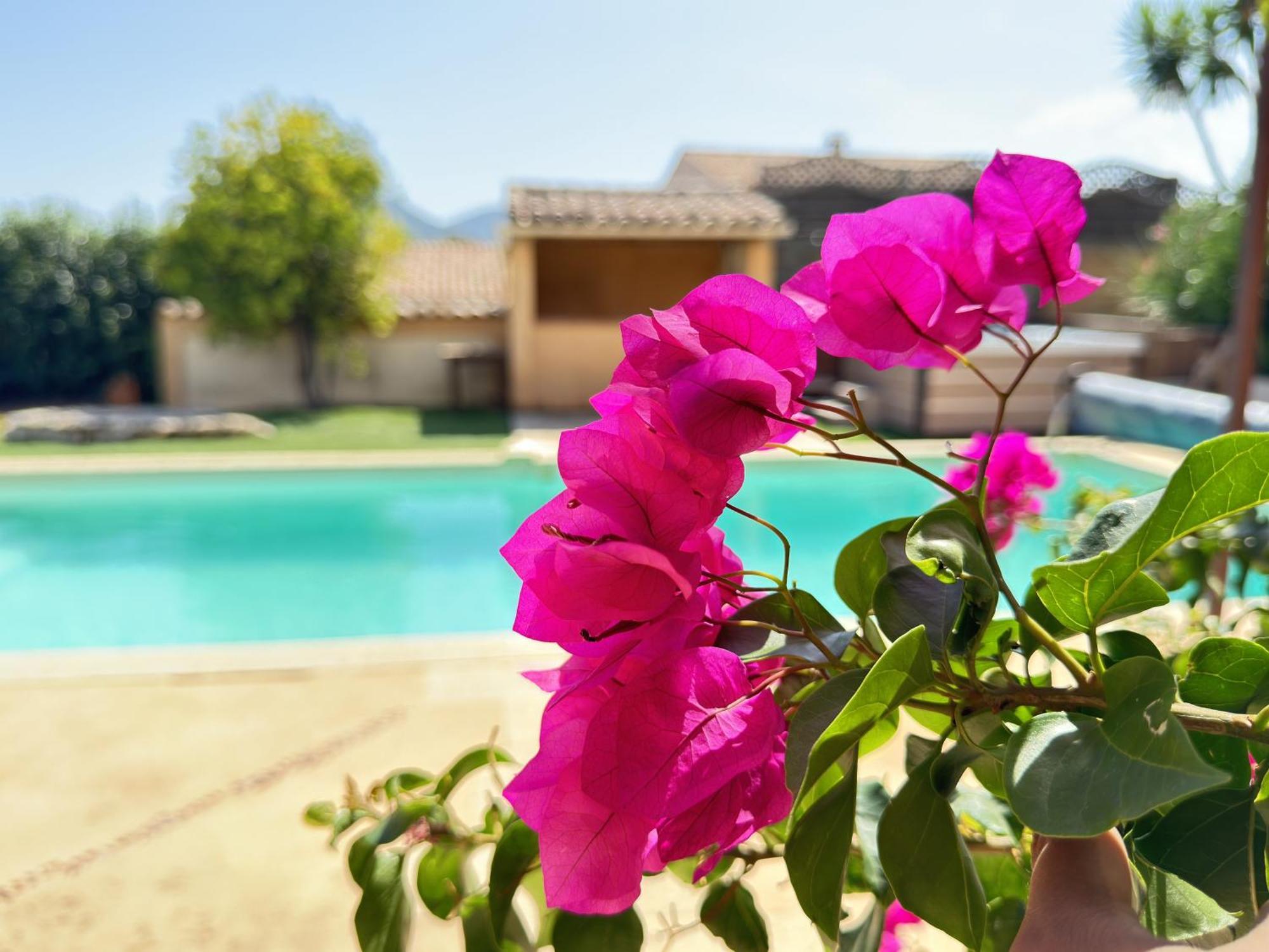 2 Hebergements - 10 Couchages - Parking, Piscine, Jacuzzi - Convivialite Roquebrune-sur-Argens Exterior foto