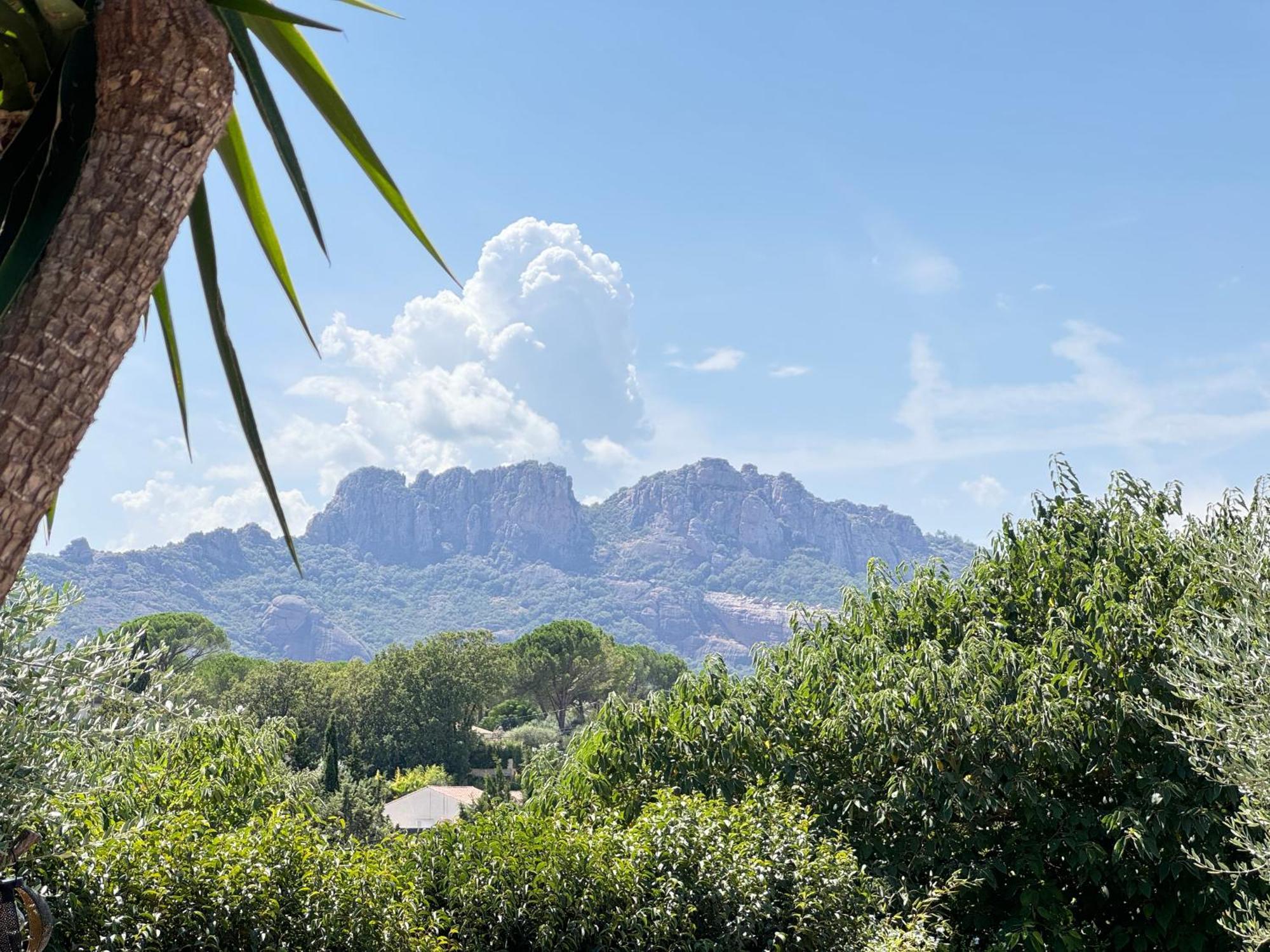 2 Hebergements - 10 Couchages - Parking, Piscine, Jacuzzi - Convivialite Roquebrune-sur-Argens Exterior foto